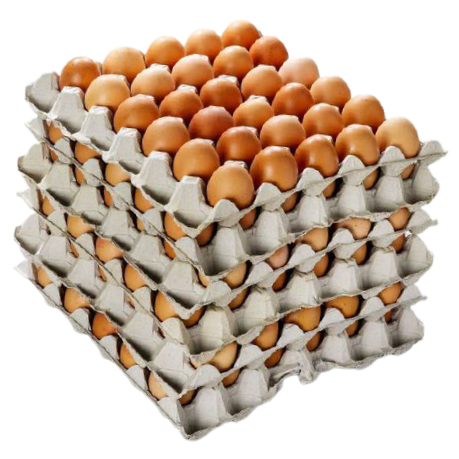 Free Range Lion Stamped Medium Eggs - 15 dozen